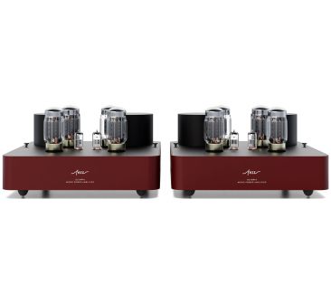Fezz Olympia Mono Power Amplifier Big Calm