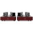 Fezz Olympia Mono Power Amplifier Big Calm